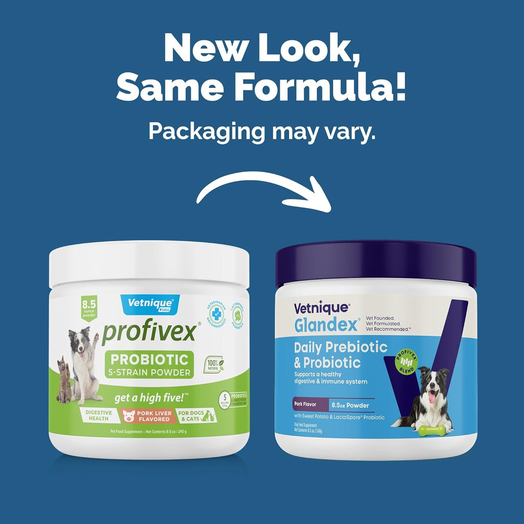 Vetnique Glandex Daily Probiotics for Dogs with Prebiotics to Support Gut Health with Fiber and Digestive Enzymes, Probiotic Chews or Powders (8.5oz Powder, Pork Powder)