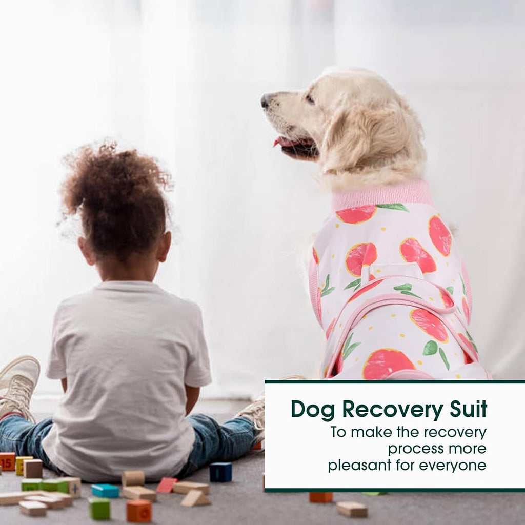 Kuoser Dog Recovery Suit Female, Dog Onesie for Surgery, Female Spay and Male Neuter Onesie for Post-Op Care, Prevent Licking Puppy Onesies, Pink L