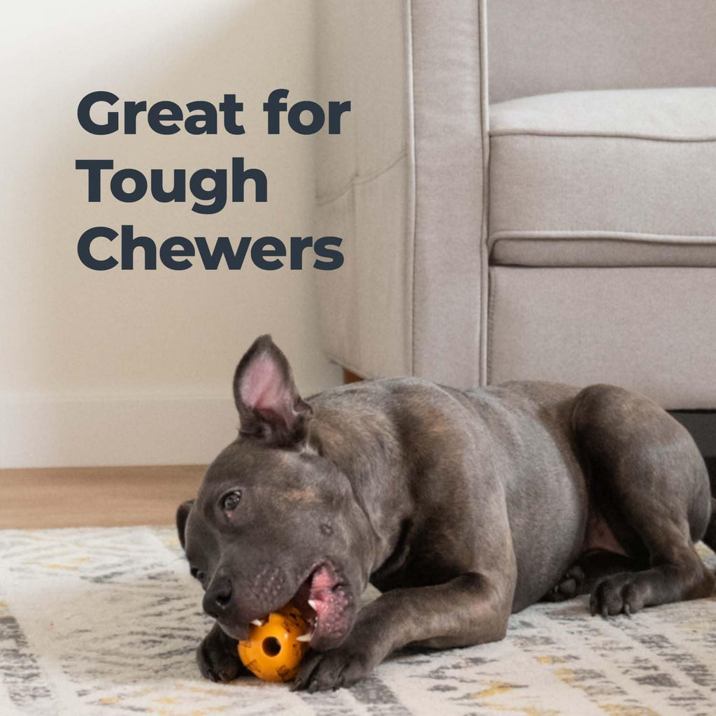 Oxyfresh Dog Dental Chew Toy - Best Durable Rubber Dog Toy & Puppy Teething Toy - Helps Remove Plaque, Cleans Teeth & Freshens Breath Without Brushing (Small)