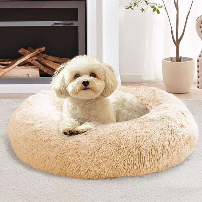 JOLLYVOGUE Calming Small Dog & Cat Bed by JOLLYVOGUE