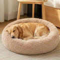 JOLLYVOGUE Calming Dog Beds Extra Large Sized Dog, 45in Donut Washable Large by JOLLYVOGUE