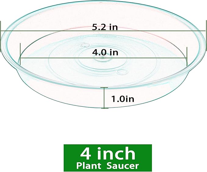 6 Pack Plastic Plant Saucer Water Drip Tray, 4 5 6 7 8 9 10 11 12 inch - Image 2