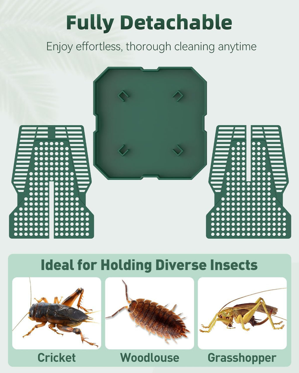 Pawfly Reptile Feeder Box, Chameleon Feeding Bowl, Climbable Chameleon Feeder, Bearded Dragon Food Keeper, Insect Container for Lizards, Geckos, and Frogs