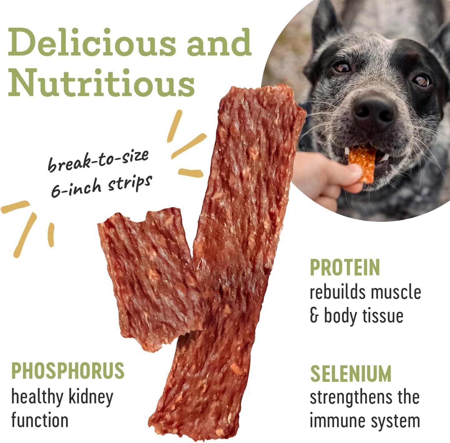 Farm Hounds - Duck Strips - Premium Natural Jerky for Dogs - Made from 100% Humanely Raised Duck - Break-to-Size - Great for Training & Treats - No Added Fillers - Made in USA - 4.5 oz - 1 Pack