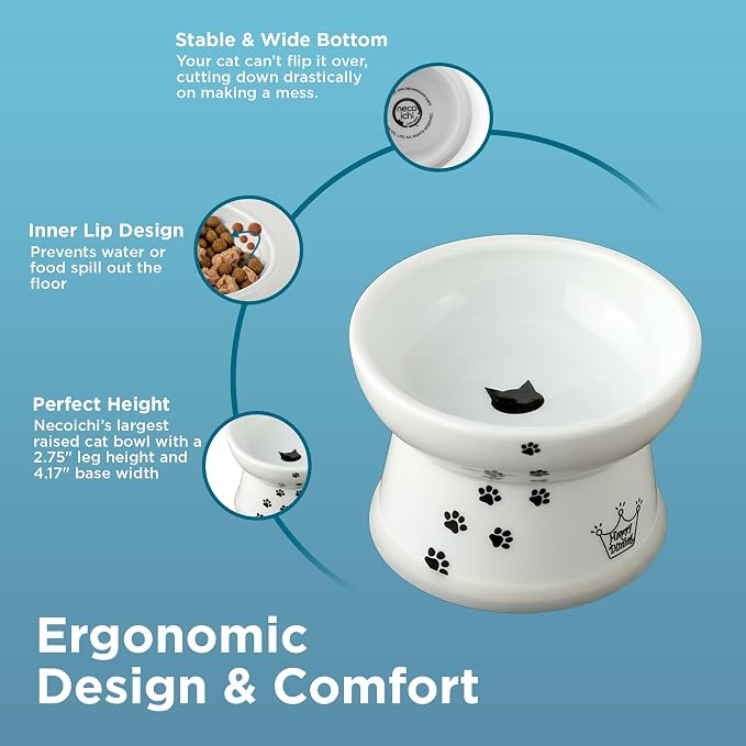 Necoichi Raised Cat Food Bowl – Ceramic Elevated Cat Bowl - Image 6