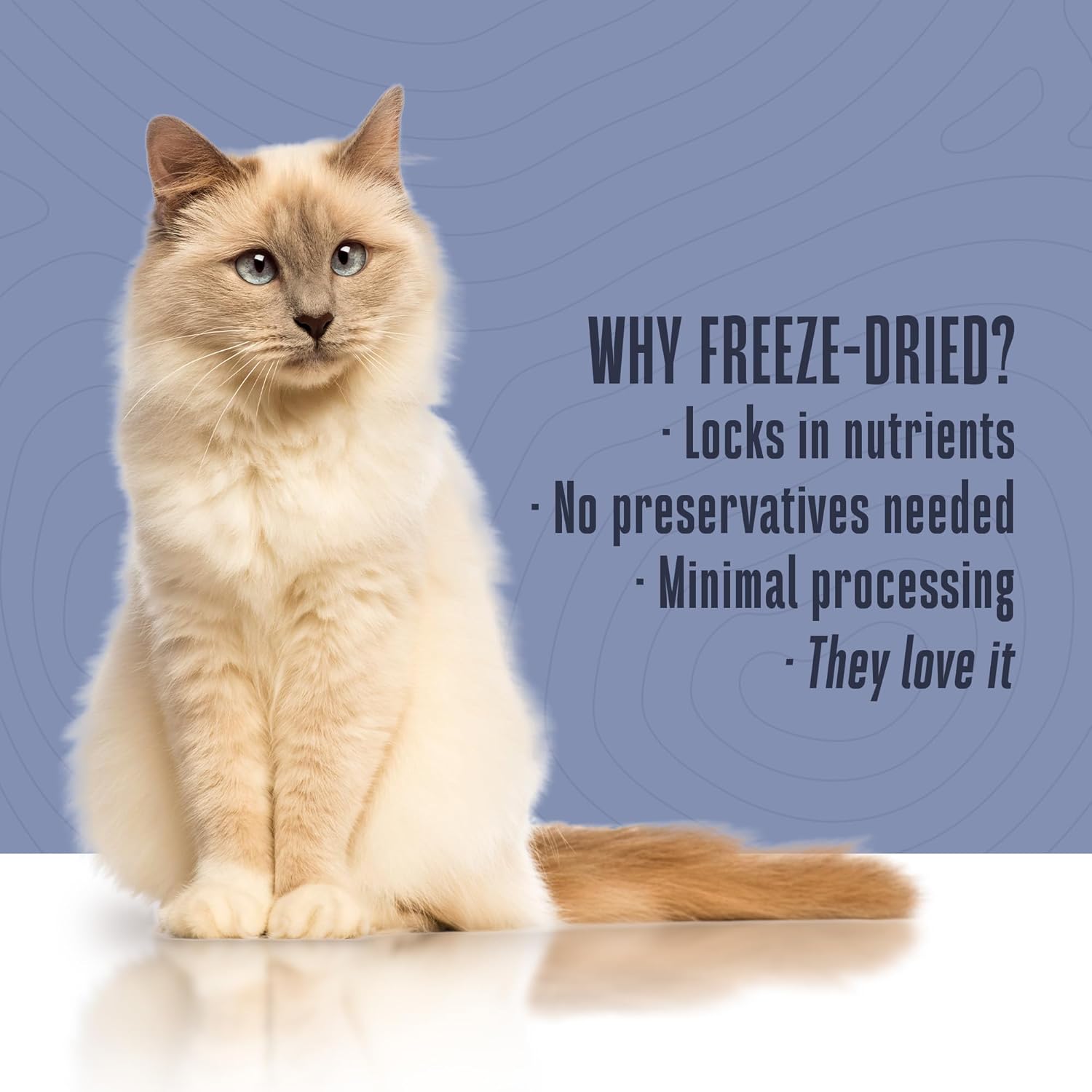 Whole Life Cat Freeze Dried Cat Food - Bland Diet with Sensitive Stomachs, Digestive Support, Anti-Diarrhea & Vomit Remedy – Human-Grade, Quick & Easy Chicken and Rice Meal, Ready in Minutes