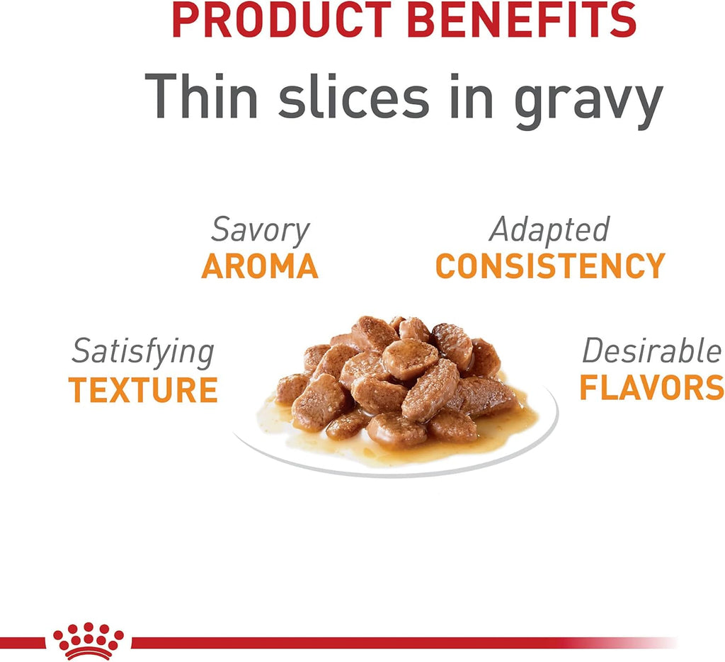 Royal Canin Feline Care Nutrition Hair & Skin Care Thin Slices in Gravy Canned Cat Food, 3 Ounce (Pack of 24)