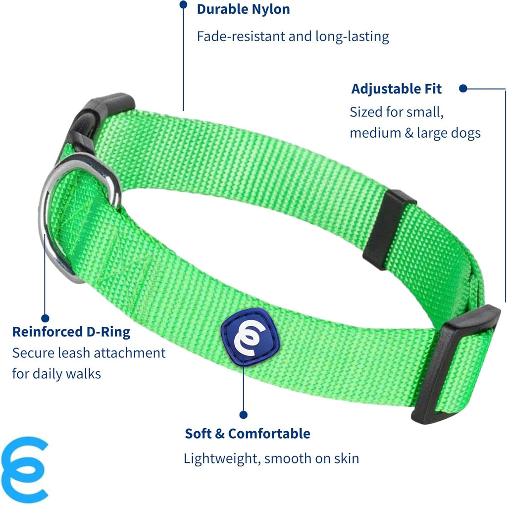 Blueberry Pet Essentials Dog Collar | Adjustable Girl Dog Collars for Medium Dogs | Neon Green Puppy Collar | Classic Nylon Dog Collars for Small Dogs | Pet Accessories