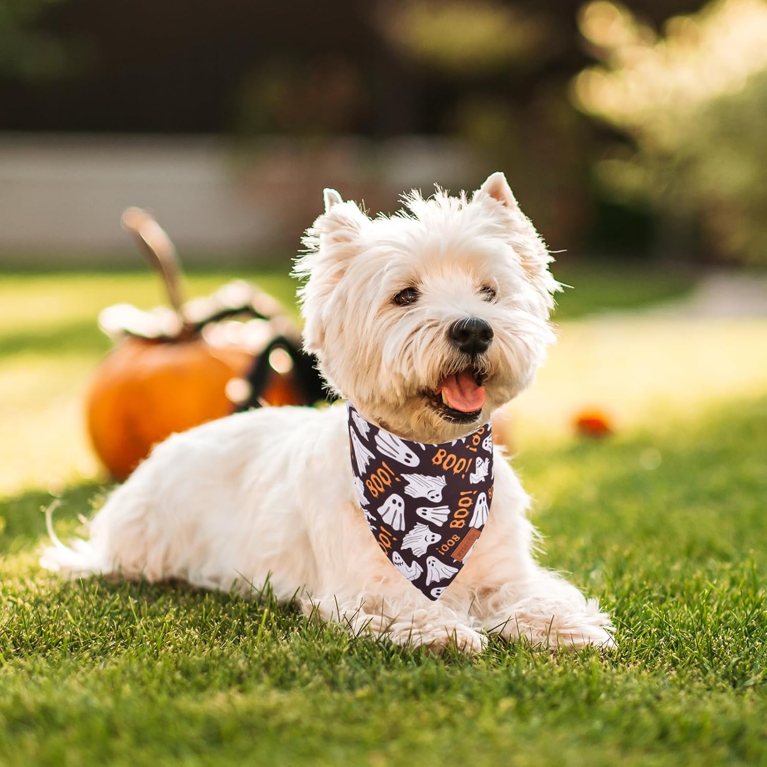 PTDECOR Halloween Dog Bandana, Reversible Holiday Pet Scarf, Multi Size, Triangle Puppy Halloween Bandanas for Small Dogs Puppies Cats (Black & Orange, Small)