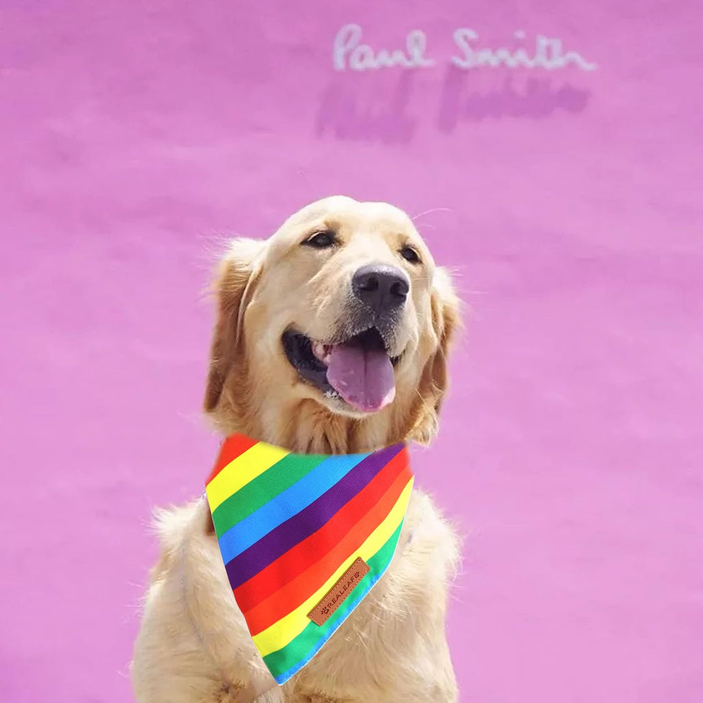 Realeaf Pride Dog Bandanas 2 Pack, LGBT LGBT+ Rainbow Scarves Bibs for Dogs, Premium Durable Fabric, Triangle Reversible Bandana for Small Medium Large and Extra Large Dogs Pets (Pride Day, Large)