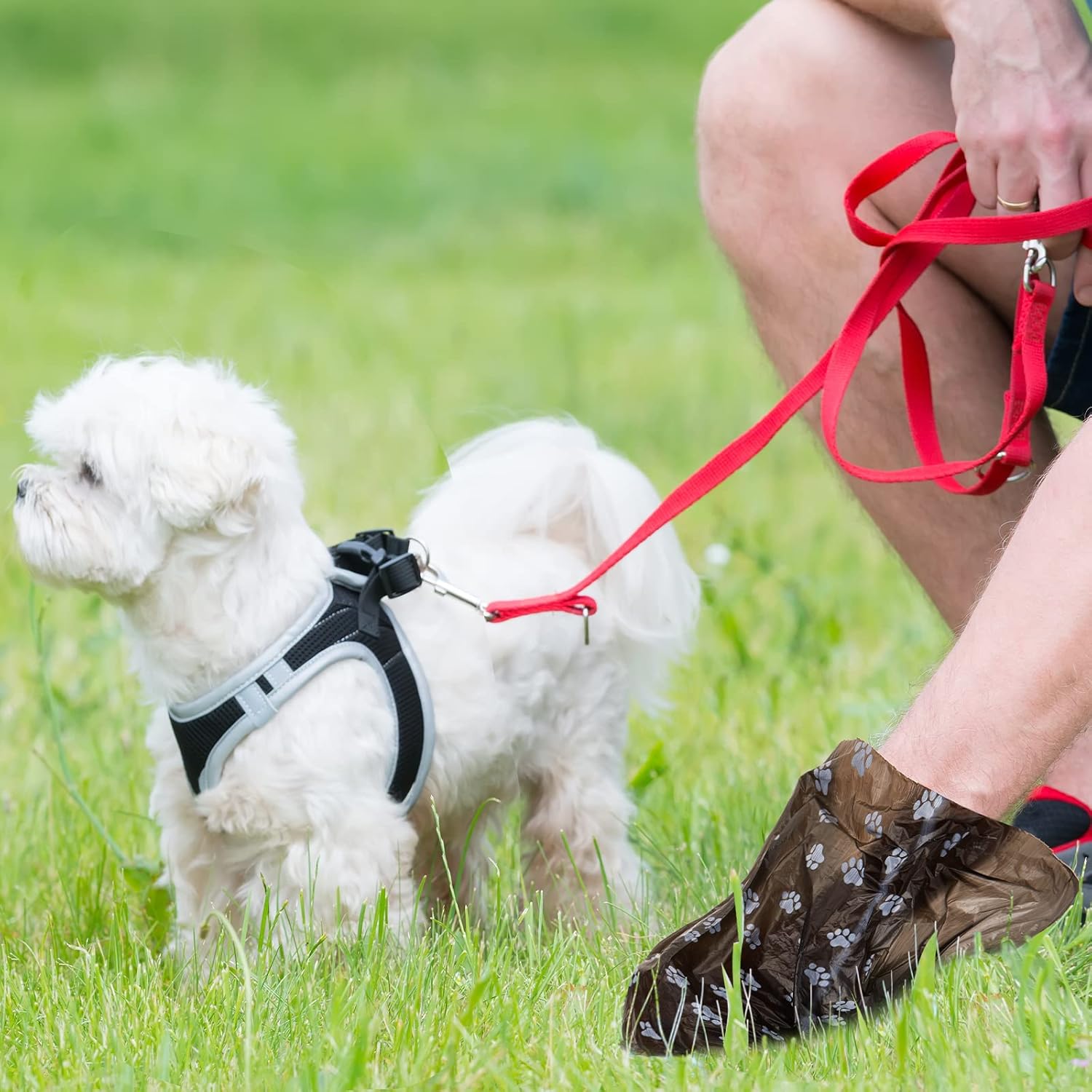 Thenshop 3000 Counts 200 Rolls Dog Poop Bag Plastic Dog Waste Bags Disposable For Doggie Pets Poop Outdoor Walking Travel Mixed Colors(Paw Print Style)