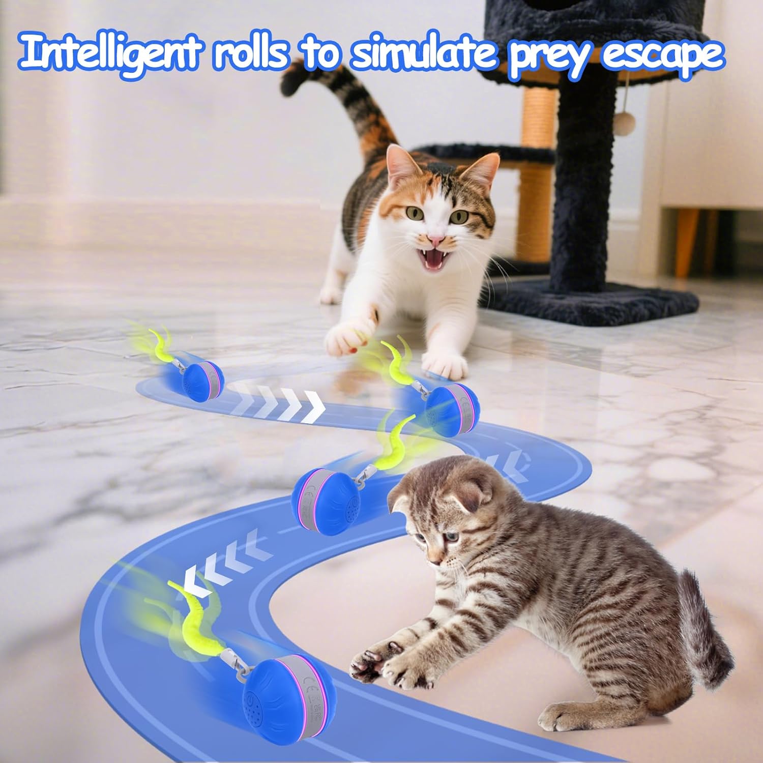 AIERSA Interactive Cat Toys for Indoor Adult Cats, Automatic Self-Play Cat Ball Toy for Kitten to Keep Them Busy, Electric Moving Chase Toy (Blue)