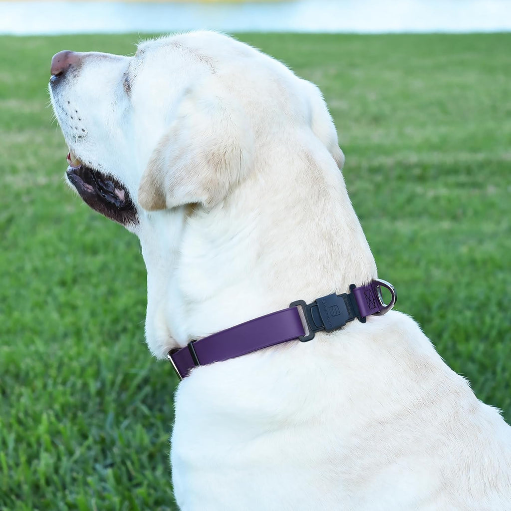 Dogline Biothane Waterproof Dog Collar with Herm Sprenger Black Stainless Steel Quick Release Buckle – Heavy Duty Tactical Durable Collar for Dogs – Comfortable and Safe Pet Collar, W 3/4" L 12-19"