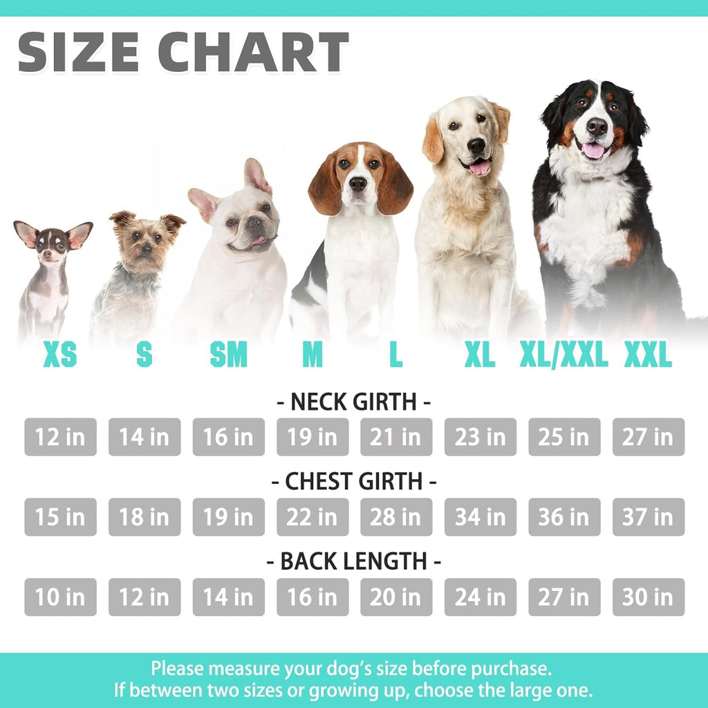 KOOLTAIL Basic Dog Hoodie - Soft and Warm Dog Hoodie Sweater with Leash Hole and Pocket, Dog Winter Coat, Cold Weather Clothes Sweatshirt for Small Medium Large Dogs Puppy Cat Boys Girls Lake Blue XXL