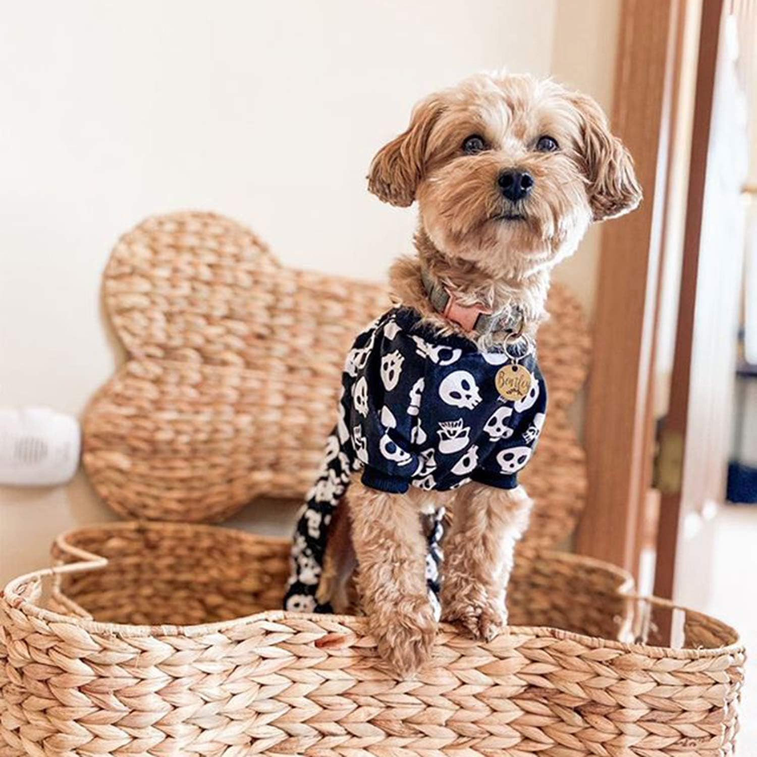 CuteBone Dog Halloween Pajamas Puppy Onesies Small Dogs Soft Pjs Coat Cat Apparel Comfy Pet Christmas Clothes Outfit Doggie Bodysuit P11XS