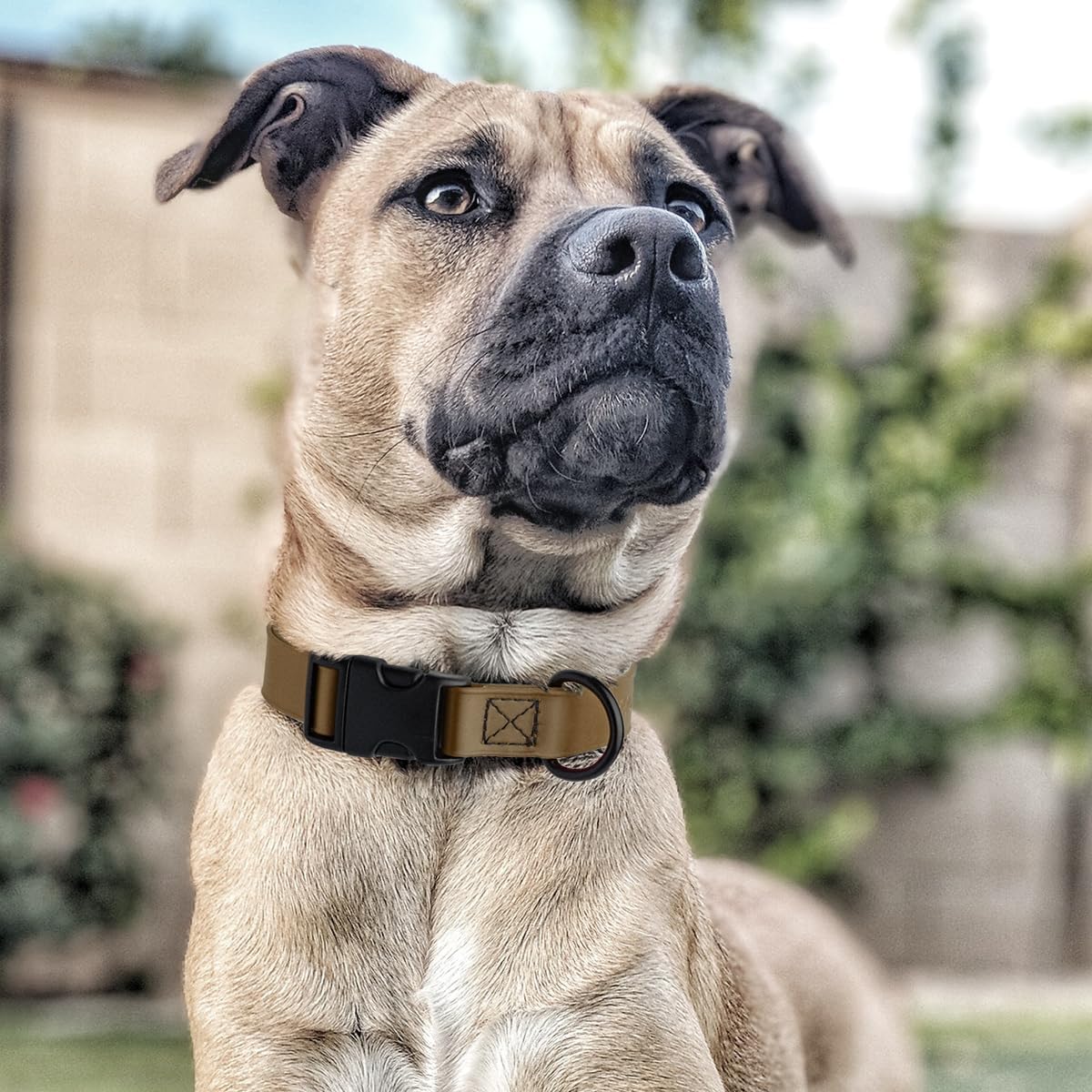 Dogline Biothane Waterproof Dog Collar with Quick Release Buckle Strong Coated Nylon Webbing with Odor- Proof for Easy Care Easy to Clean Fits Small Medium Large Dogs, Coyote Brown 3/4" W 12-19" L