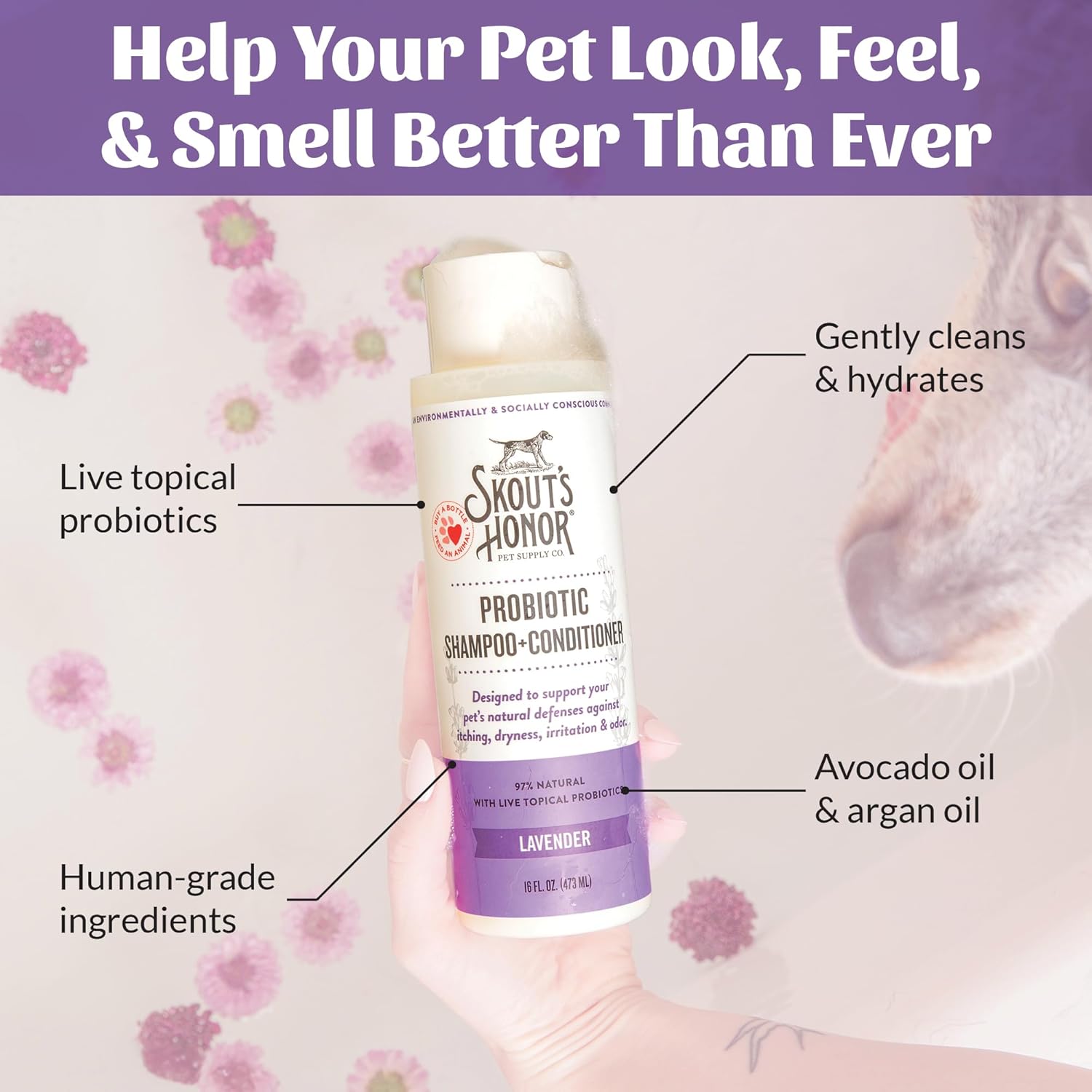 Skout's Honor Probiotic Dog Shampoo & Conditioner with Avocado Oil & Omega-3s, 97% Natural, Paraben & Sulfate-Free, Cruelty-Free, 16oz, Lavender