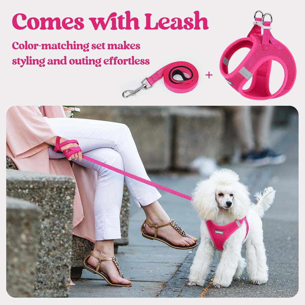 rabbitgoo Dog Harness Small Sized and Leash Set, Step in Soft Light Puppy Vest, Breathable Mesh Pet Harness, Reflective for Safe Easy Walking, Rose Red S