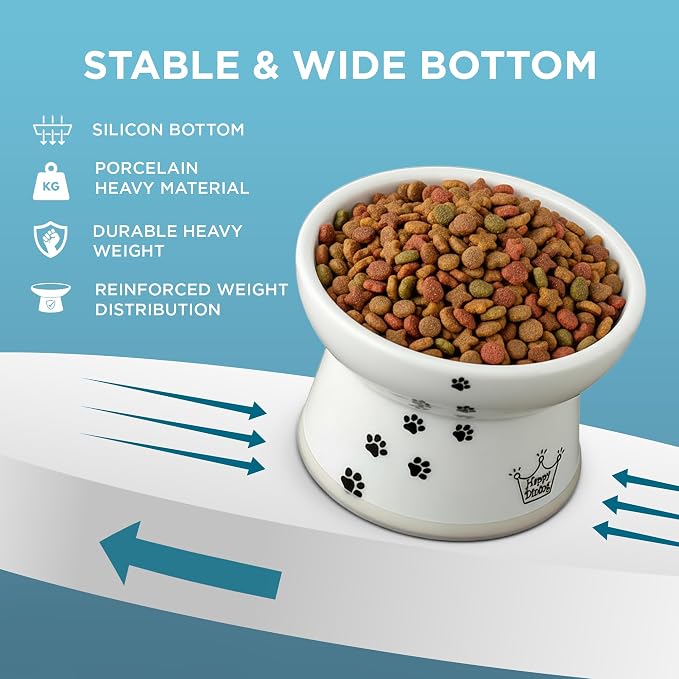 Necoichi Raised Cat Food Bowl – Ceramic Elevated Cat Bowl - Image 6