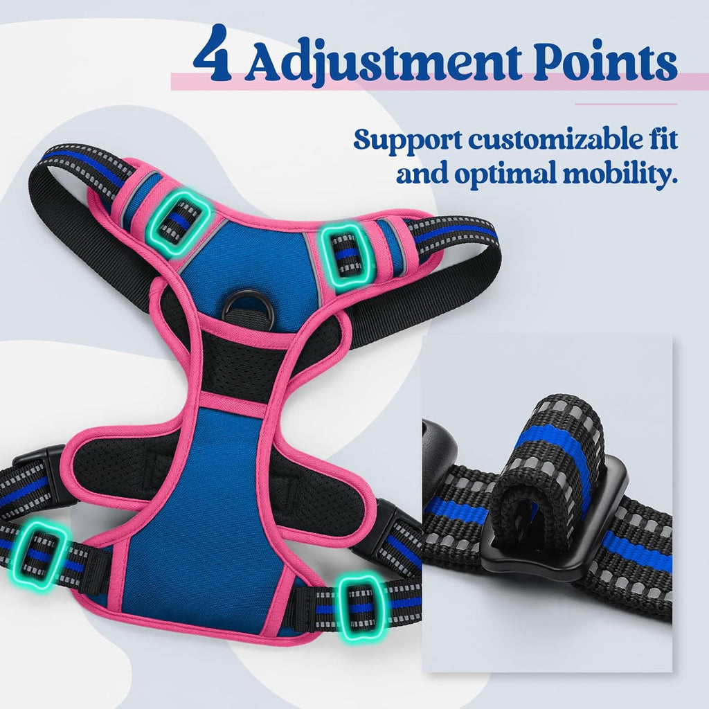 rabbitgoo Dog Harness No Pull with 2 Leash Clips, Adjustable Soft Padded, Reflective Oxford No Choke Pet Vest with Easy Control Handle for Large Dogs, Blue & Hot Pink, S
