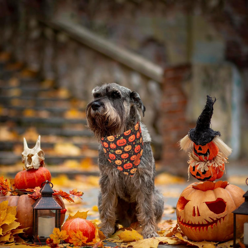 PTDECOR Halloween Dog Bandana, Skeleton Pumpkin Reversible Holiday Dog Scarf, Triangle Halloween Bandanas for Small Dogs Puppies Cats(Small)