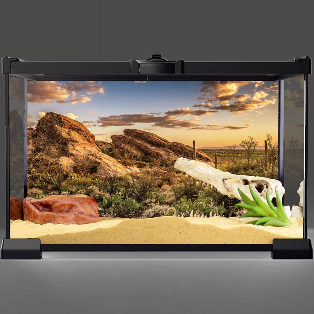 AWERT Reptile Habitat Background Blue Sky Oasis Cactus Sun and Desert Terrarium Background 72x16 inches Durable Polyester Background