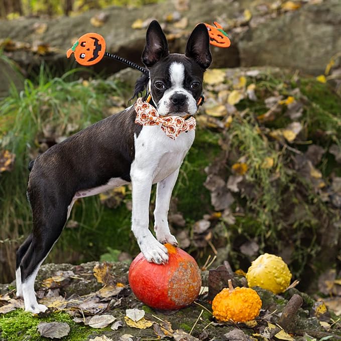 Dog Collar - Thanksgiving Turkey Bowtie Gift, Soft Bow Adjustable Metal Buckle - Image 5