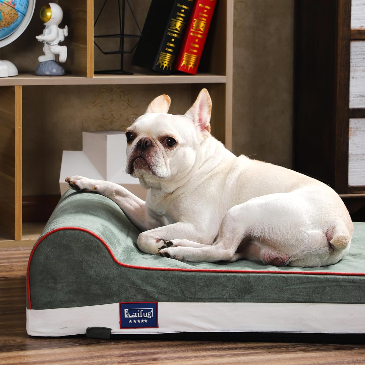 Laifug Orthopedic Memory Foam Dog Bed with Pillow and Durable Water Proof Liner & Removable Washable Cover & Smart Design Medium (34"x22"x7"), Dark Green