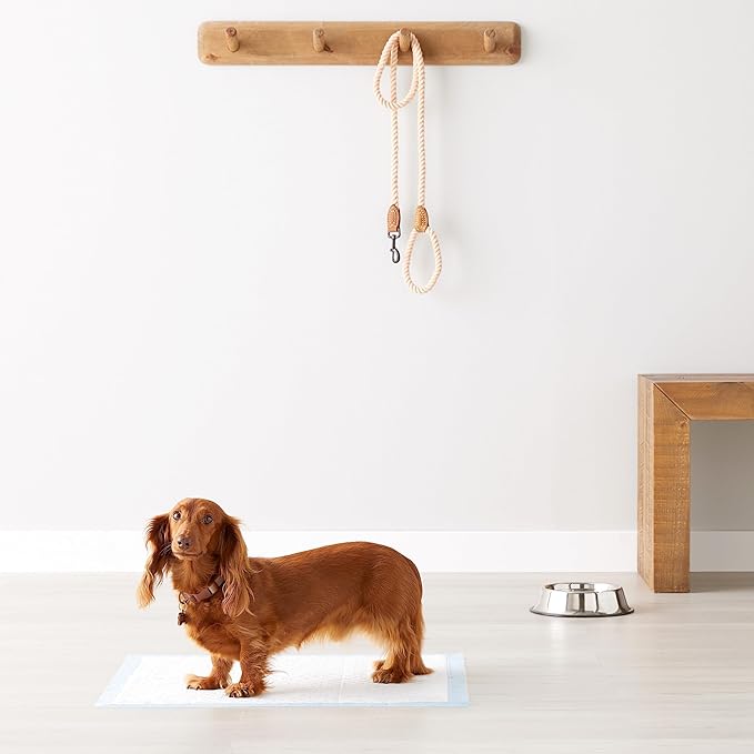 Amazon Basics Heavy Duty Dog and Puppy Pee Pads, Leak-Proof 5-Layer Super - Image 8