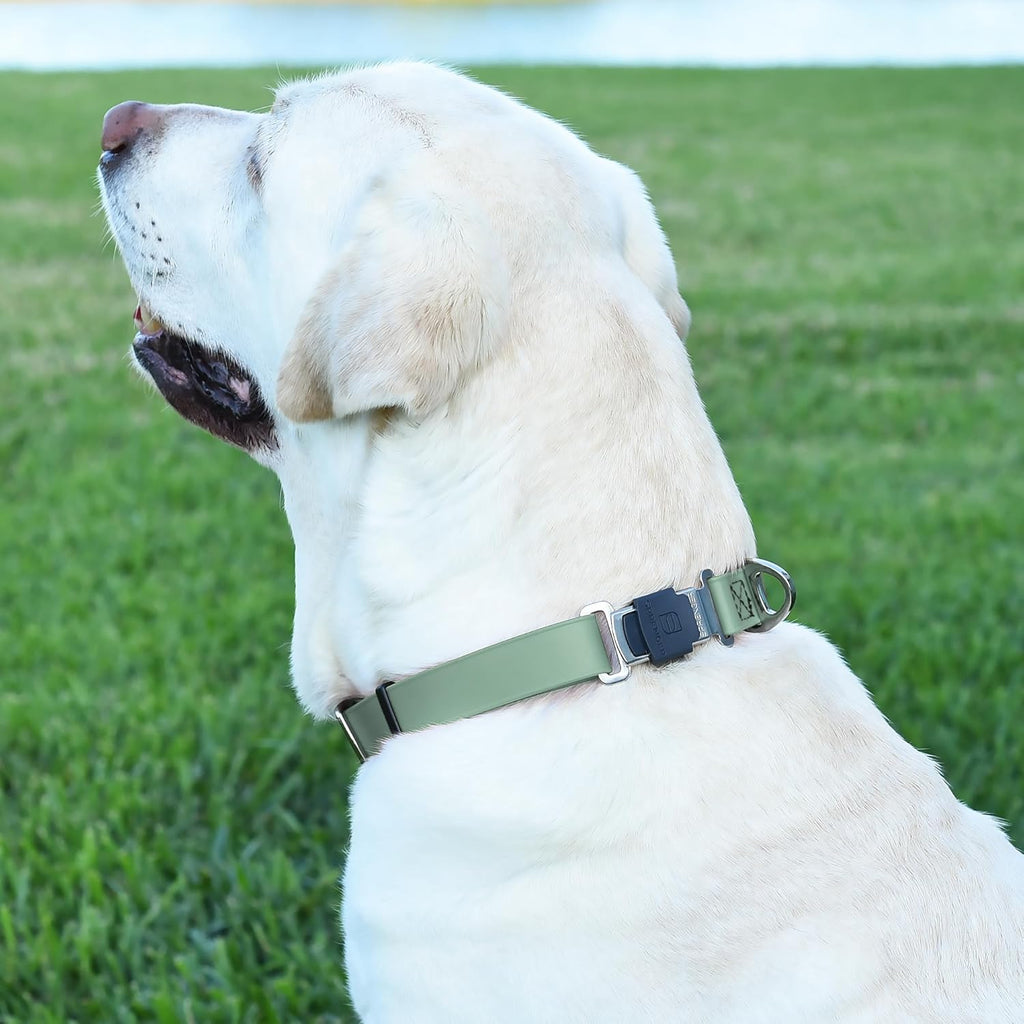 Dogline Biothane Waterproof Dog Collar with Herm Sprenger Stainless Steel Quick Release Buckle – Heavy Duty Tactical Durable Collar for Dogs – Comfortable and Safe Pet Collar W 3/4" L12-19 Sage Green