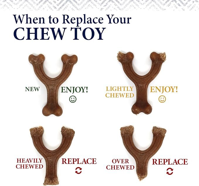 Nylabone Gourmet Style Strong Chew Toy Bundle, Toys - Image 9