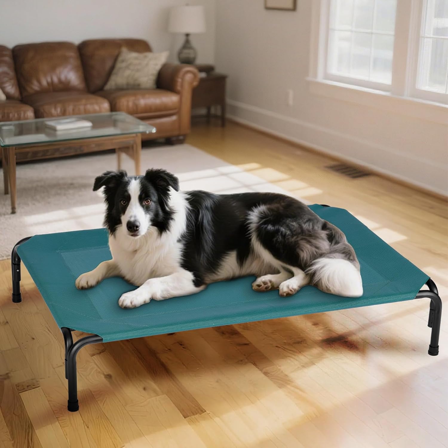 Elevated Dog Bed for Outdoor, Medium Raised Dogs Cot for Training, Cooling Pet Beds with Washable Mesh, Indestructible Lifted Platform for Outside Camping, 35 inch Green