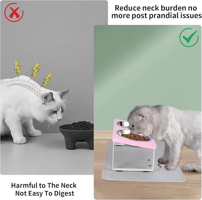 Upgraded Elevated Cat Bowls - Image 2