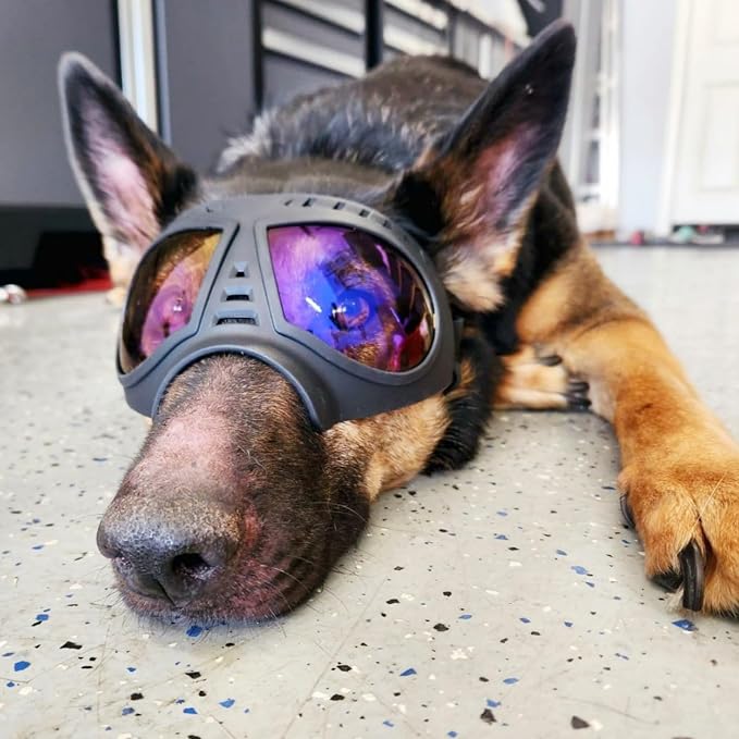 Namsan Clear Dog Goggles for Large Dogs, Wide Snout & Soft Frame, Tactical - Image 6