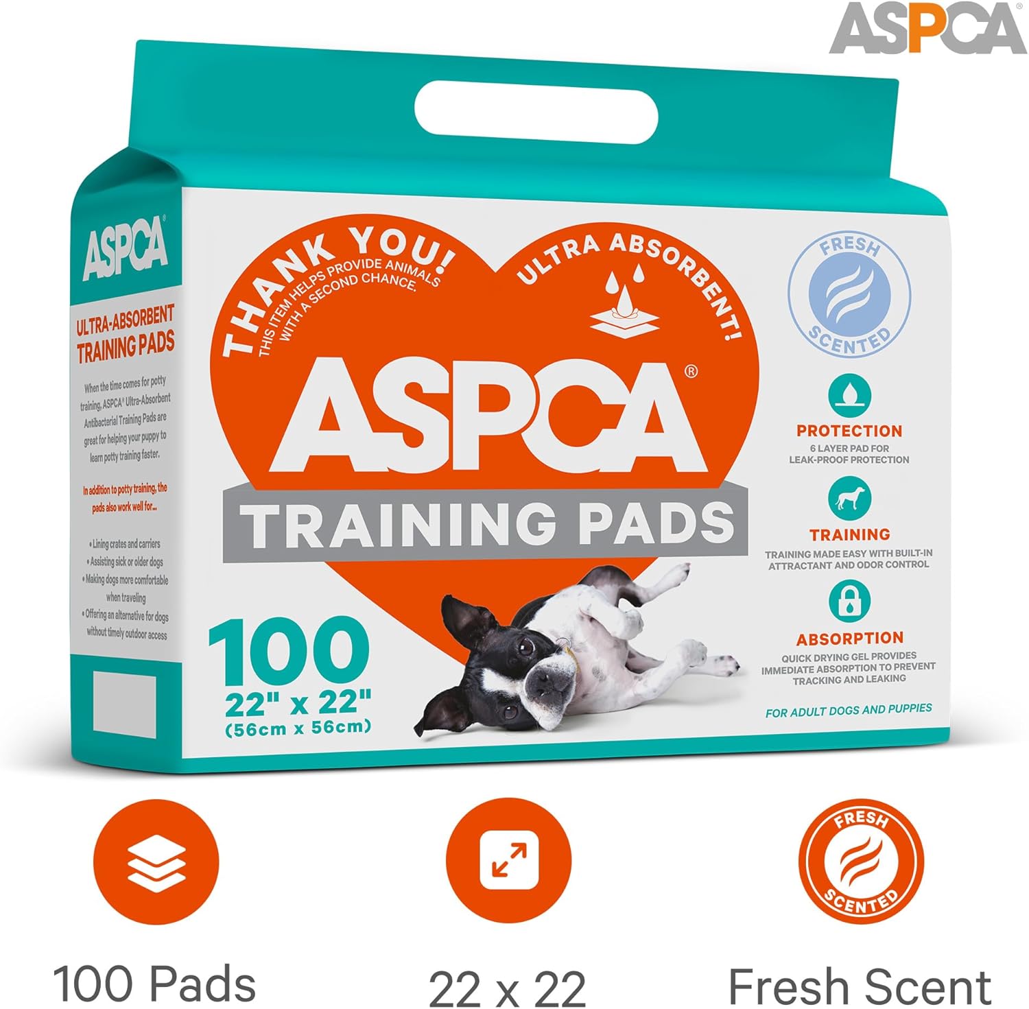 AS62930 Dog Training Pads, Pack of 100, Gray, 22" x 22" - Pack of 100