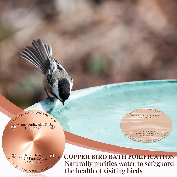 4 Pcs Bird Bath Copper Disk, 0.6mm Thick Reinforced 99.99% Pure Copper Birdbath - Image 5