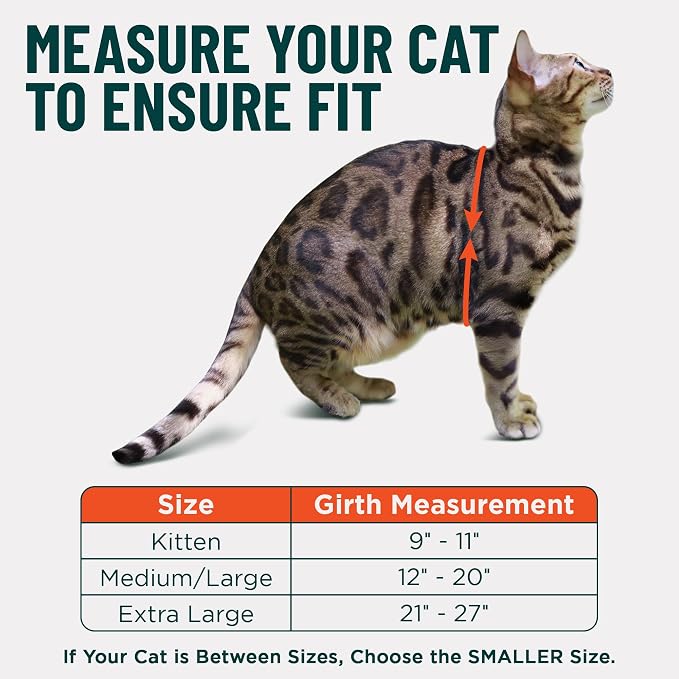 Houdini™ Escape Proof Cat Harness and Leash Set by OutdoorBengal – Red - Image 5