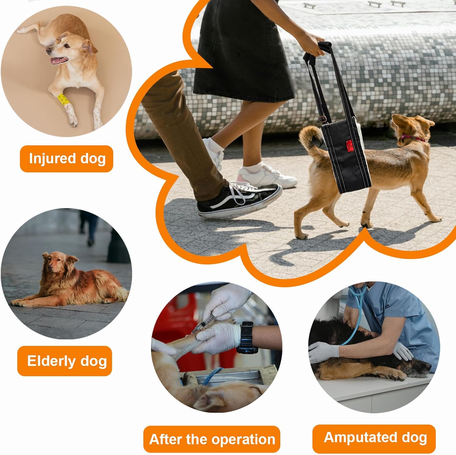 Leather Dog Lift Harness,Sling for Large Dogs Hind Leg Support,Support Harness for Back Legs,Dog Rear Lift Harness Assist for Senior,Injured,Post ACL,TPLO Surgery Recovery Essentials,Mobility aids L