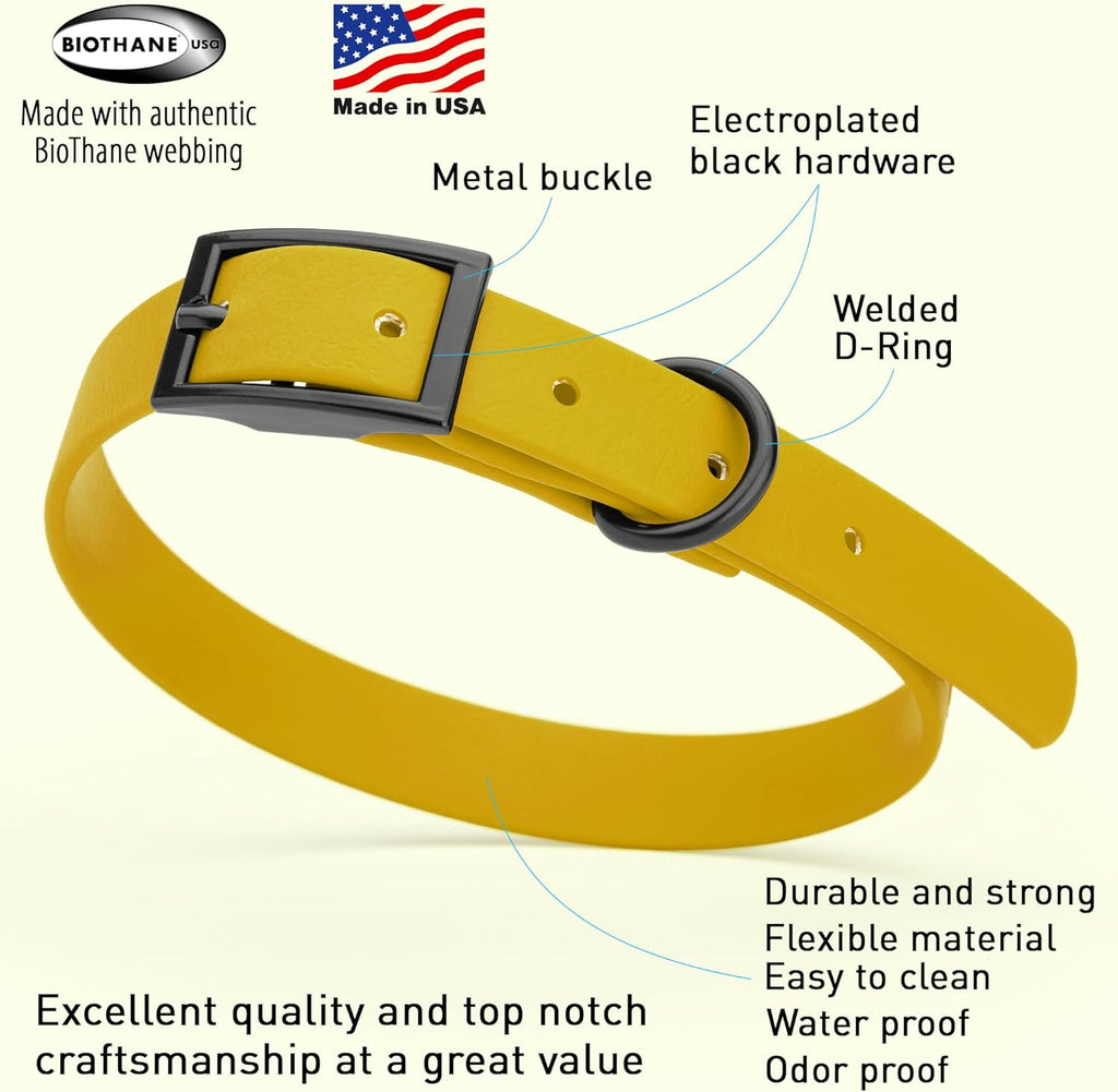 Dogline Biothane Waterproof Dog Collar Strong Coated Nylon Webbing with Black Hardware Odor- Proof for Easy Care Easy to Clean High Performance Fits Small Medium or Large Dogs, Treasure Gold