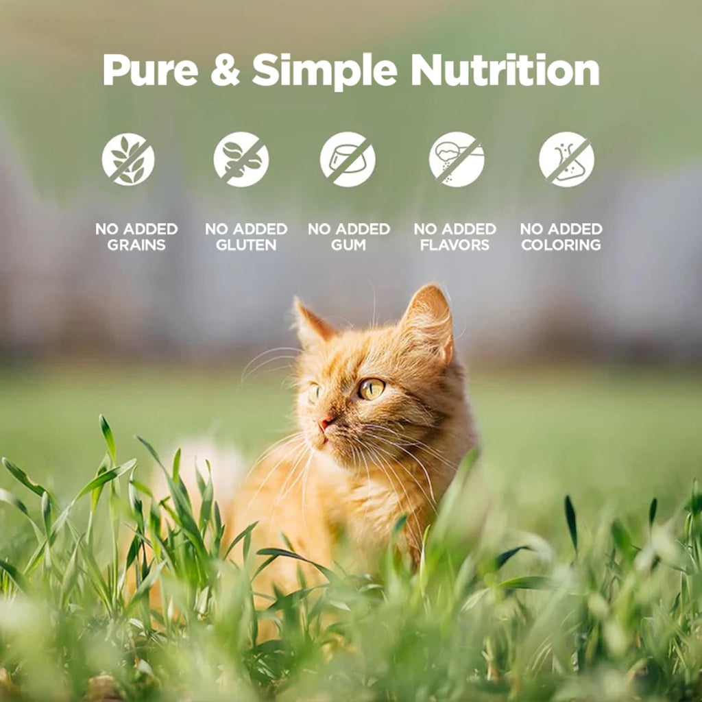ZEAL New Zealand Wet Cat Food – High Protein, Grain-Free with Superfoods (Beef, 3.17oz Can, 24-Pack)