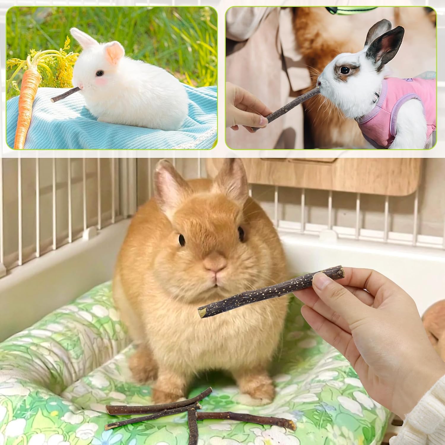 600g Small Apple Sticks Animals Molar Wood Treats Toys for Rabbits Chinchillas Guinea Pig Hamster Gerbil Parrot Bunny Chew Stick Toys Treats, 21.2 OZ