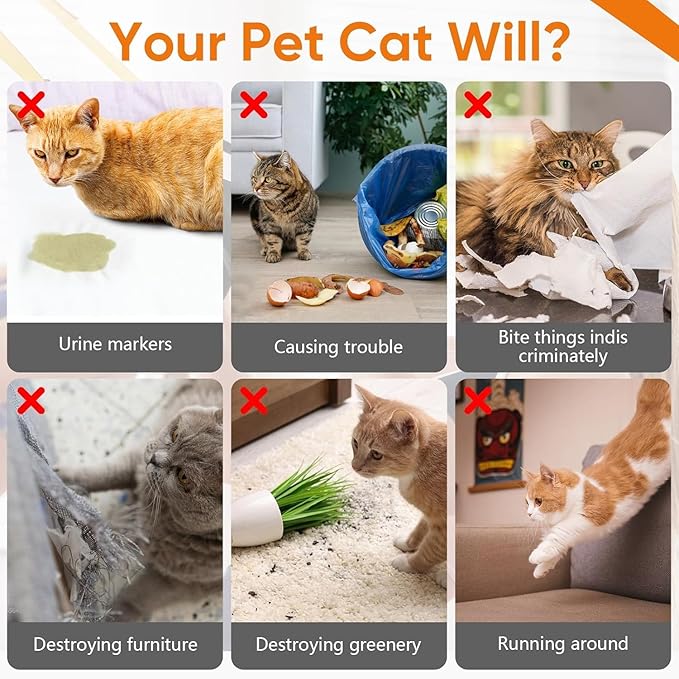 Cat Deterrent Spray 2 Pack, Natural Non-Toxic Plant Based Anti-Scratch & - Image 3