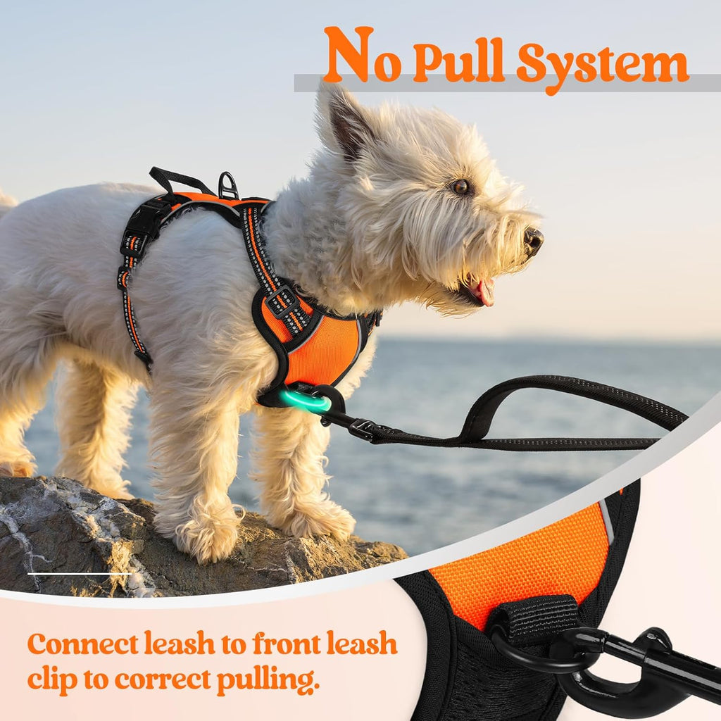 rabbitgoo Dog Harness No Pull with 2 Leash Clips, Adjustable Soft Padded, Reflective Oxford No Choke Pet Vest with Easy Control Handle for Puppy, Orange,XS