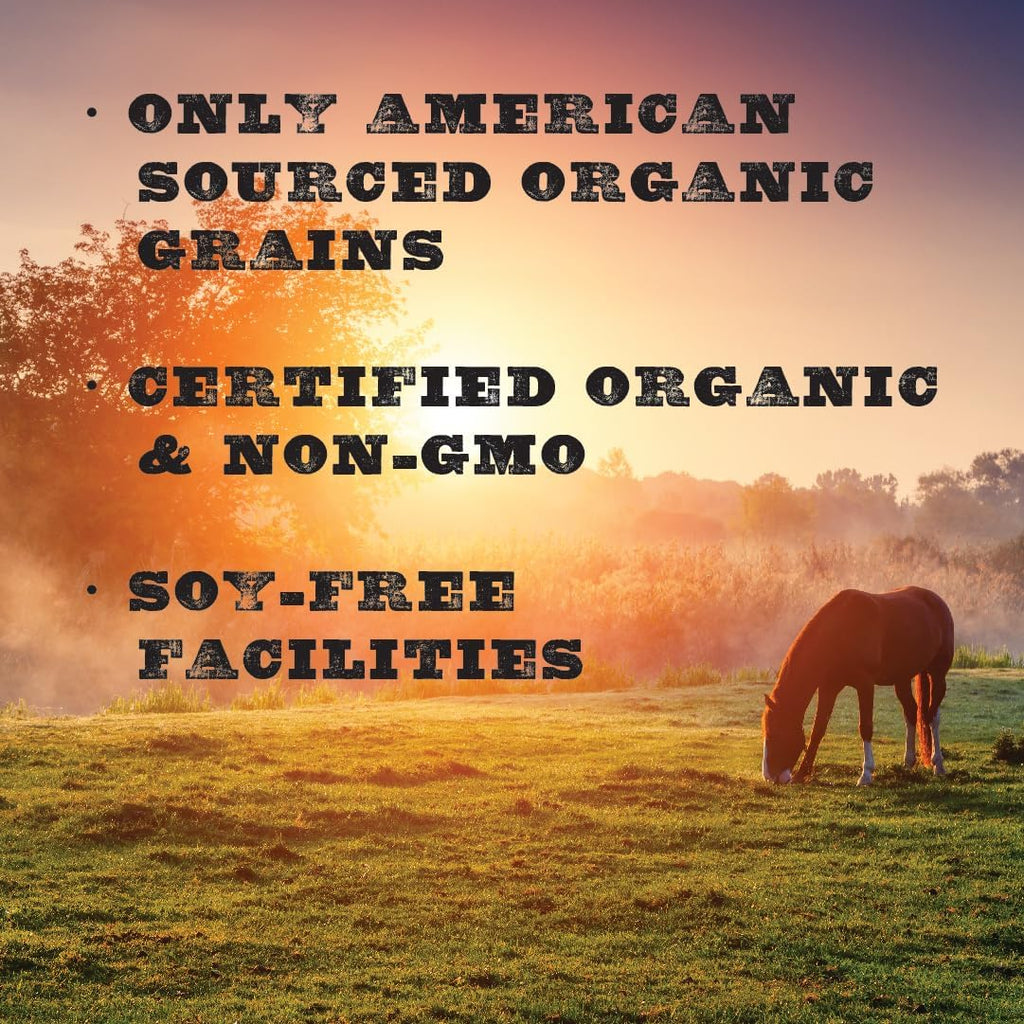 New Country Organics | Performance Horse Feed for Horses in Light to Moderate Work | Corn-Free and Soy-Free | 12% Protein | Certified Organic and Non-GMO | Horse Feeder with Grains & Oats 40 lbs