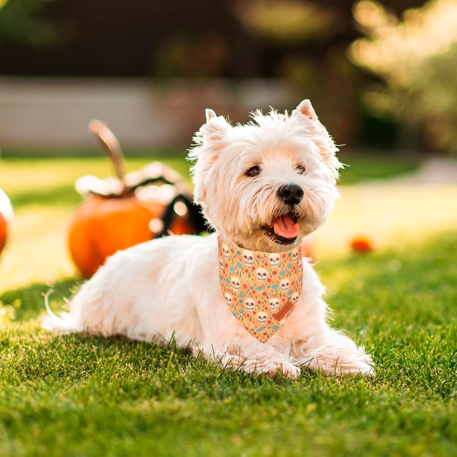 PTDECOR Halloween Dog Bandana, Skeleton Pumpkin Reversible Holiday Dog Scarf, Triangle Halloween Bandanas for Small Dogs Puppies Cats(Small)