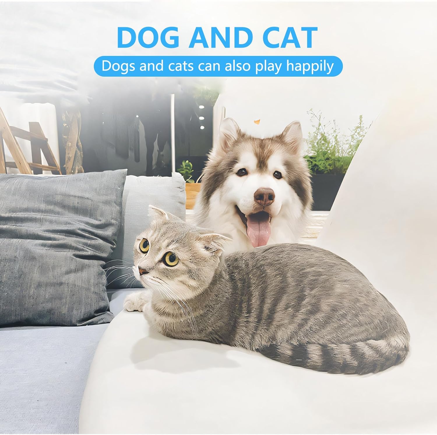 Cat Dog Specific Nail Clipper, Avoiding Excessive Cutting, Suitable for Beginners. It Can Also be Used for Small Animals Such as Birds, Hamsters, Rabbits, Hedgehogs, Ferrets, Guinea Pigs, Etc.