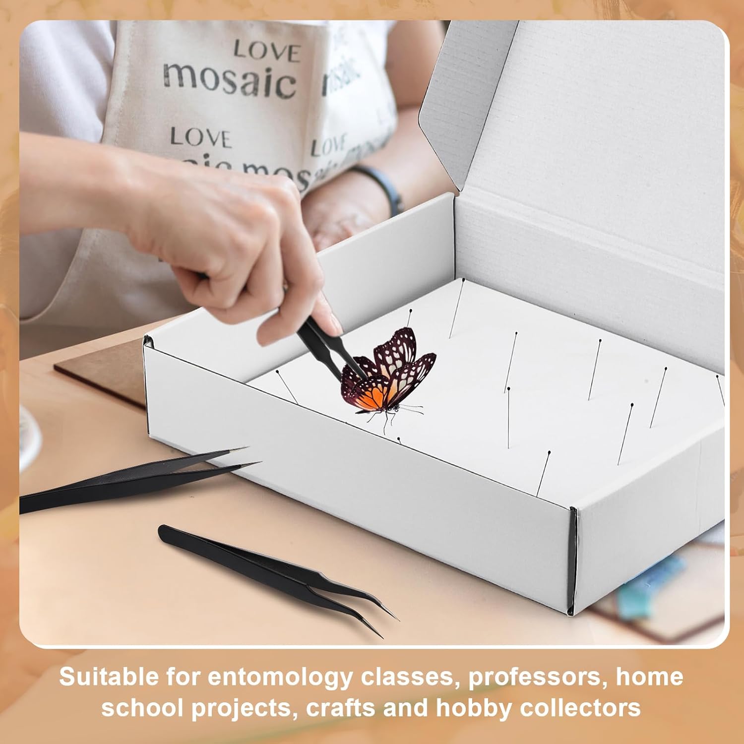 Taiyin 2 Sets Insect Pinning Kits Include 2 Insect Pinning Boxes 2 Insect Pinning Boards 100 Insect Pins and 3 Tweezers for Project Bugs Collection and Specimen Displays