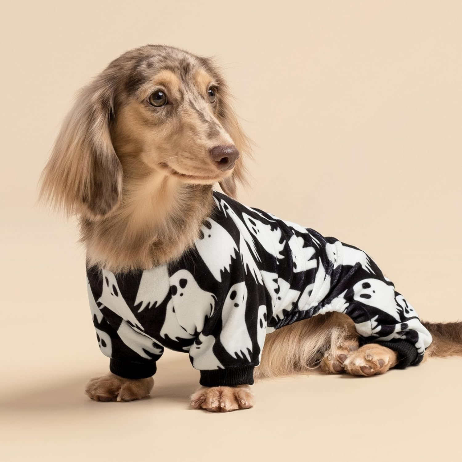 Fitwarm Halloween Ghost Dog Pajamas, Funny Halloween Costumes for Dogs, Fleece Dog Onesie with Feet, Doggy Clothes for Small Dogs Boy Girl, Pet Apparel, Black, White, Small