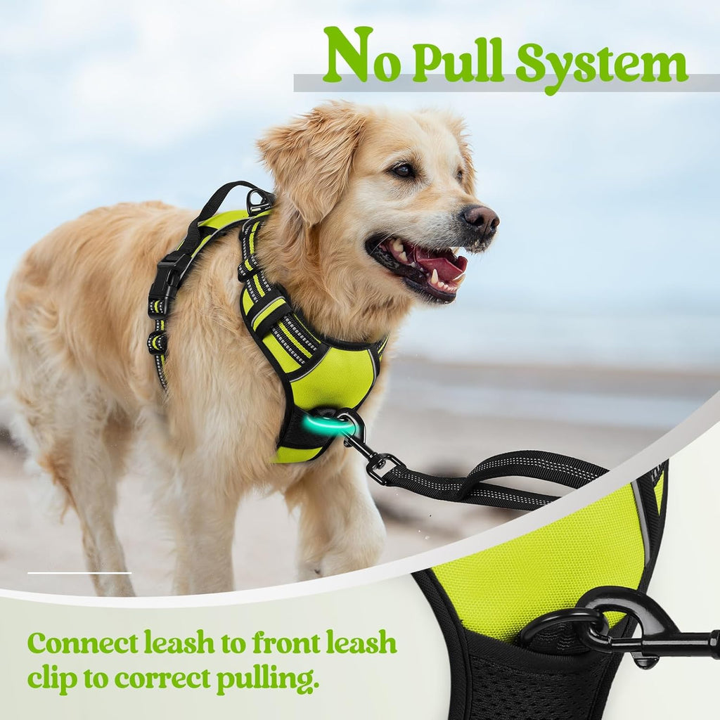 rabbitgoo Dog Harness No Pull with 2 Leash Clips, Adjustable Soft Padded, Reflective Oxford No Choke Pet Vest with Easy Control Handle for Large Dogs, Green, L