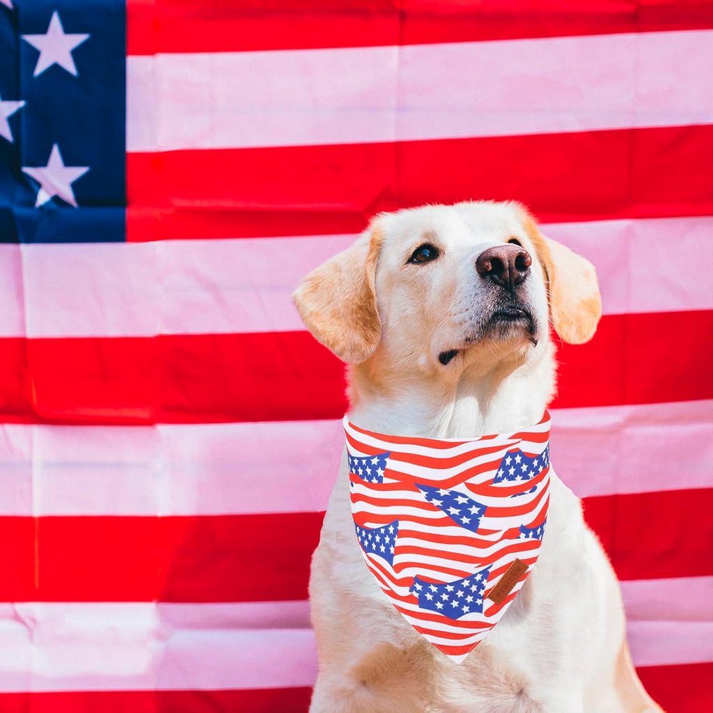 PTDECOR American Flag Dog Bandana 4th of July Dog Scarf Reversible Red Blue Patriotic Bandanas for Medium Large Dogs Pets (Blue & Red, Large)